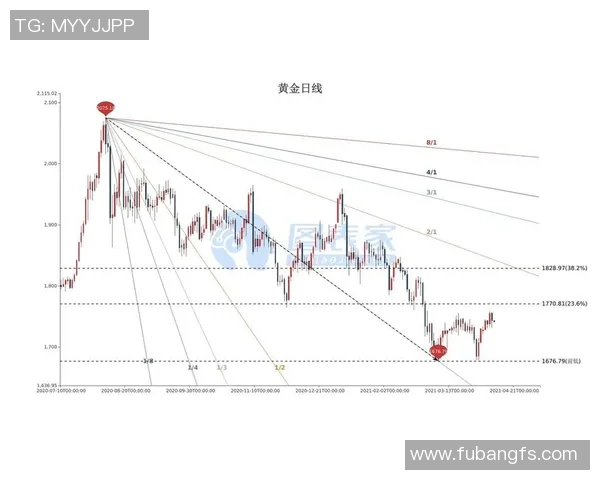 广州羽毛球队的盯防策略揭秘与深度分析探讨