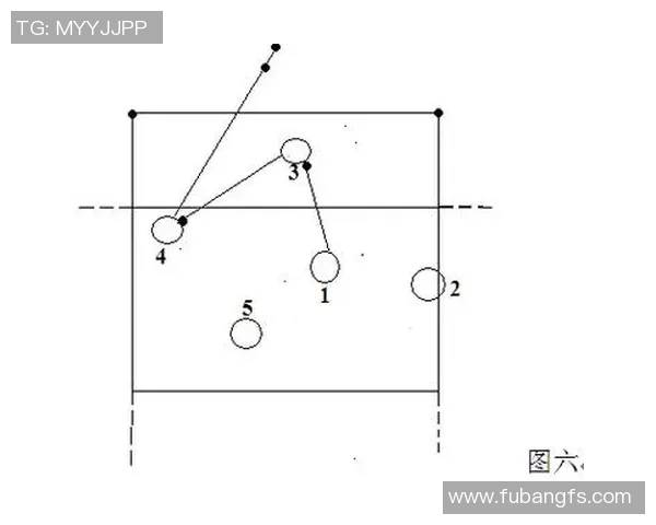 深圳排球队战术表现深度分析与数据解读探讨
