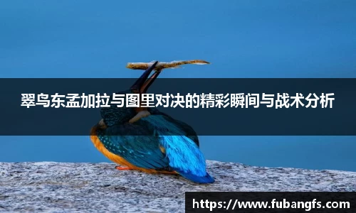 BB贝博艾佛森