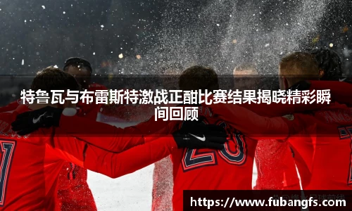 BB贝博登录入口
