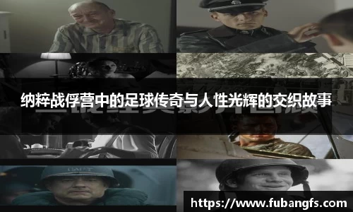 BB贝博登录入口